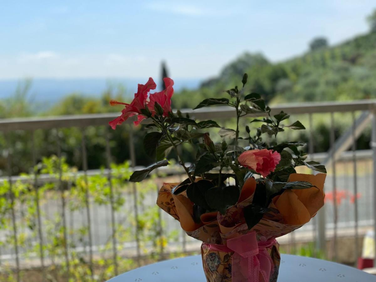 Апартаменты A Casa Di Silvia Гамбасси-Терме Экстерьер фото