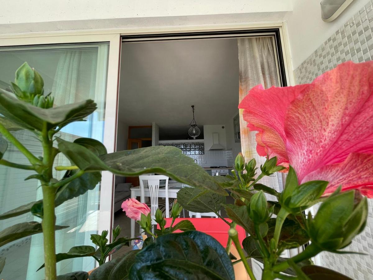 Апартаменты A Casa Di Silvia Гамбасси-Терме Экстерьер фото